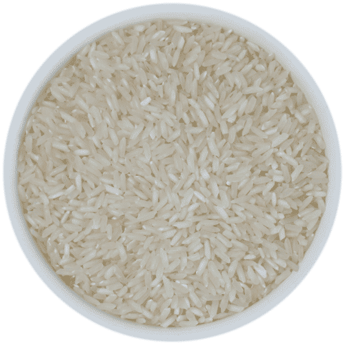 IR 36 Rice