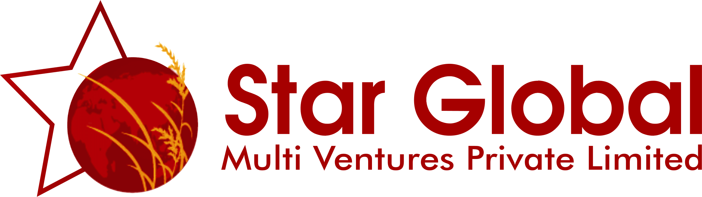 Star Global Logo