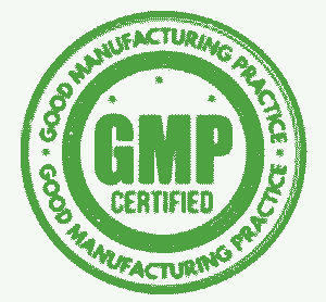 gmp logo