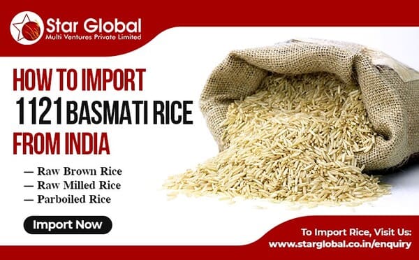 How to Import 1121 Basmati Rice from India